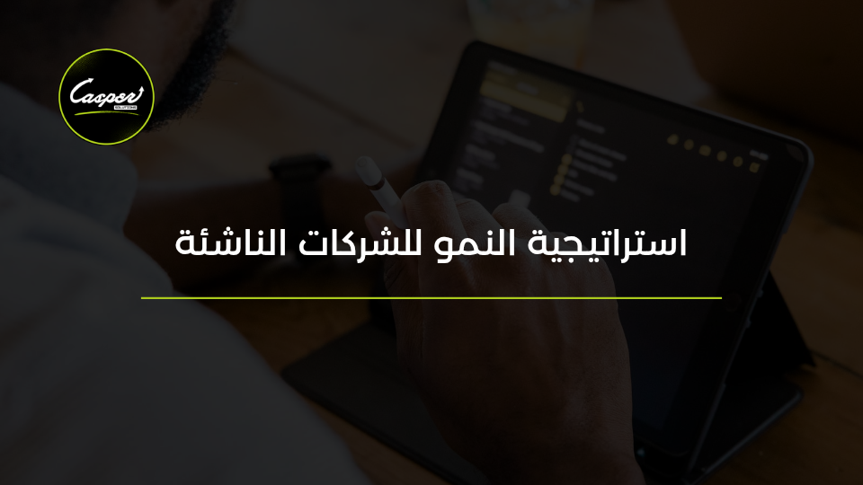 استراتيجية النمو للشركات الناشئة