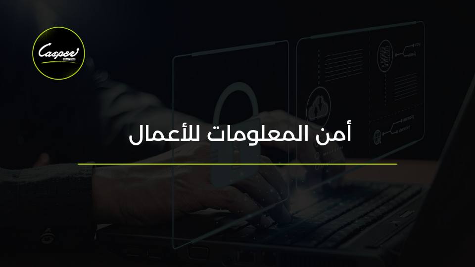 أمن المعلومات للأعمال