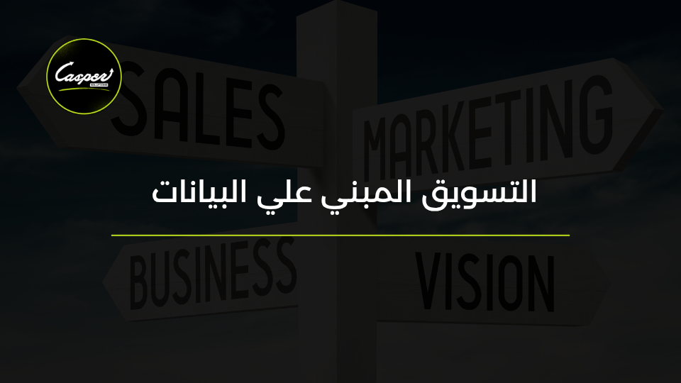 التسويق المبني على البيانات