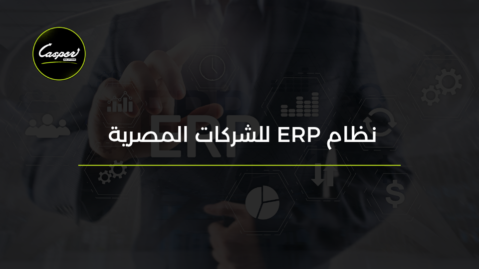نظام ERP للشركات المصرية