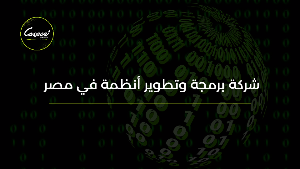 شركة برمجة وتطوير أنظمة